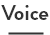 voice
